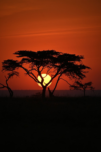Mahali Mzuri: Landschaft