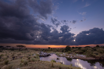 Mara Toto Tree Camp: Sundowner