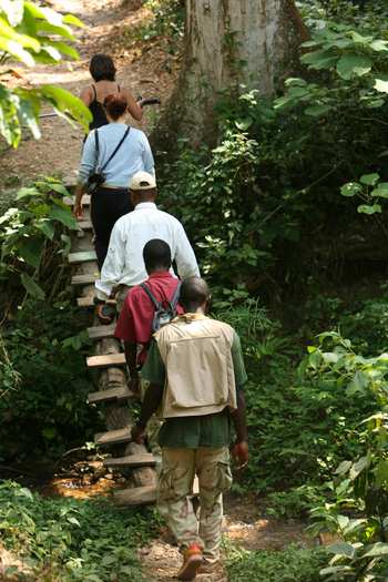 Mbali Mbali Gombe Lodge: Trekk durch den Gombe Forest