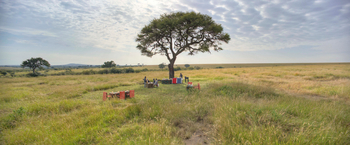 Olakira Migration Camp: Bush Breakfast