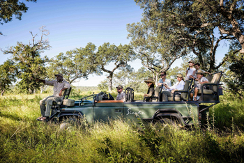 Singita Castleton: Gäste auf Pirschfahrt im offenen Geländewagen