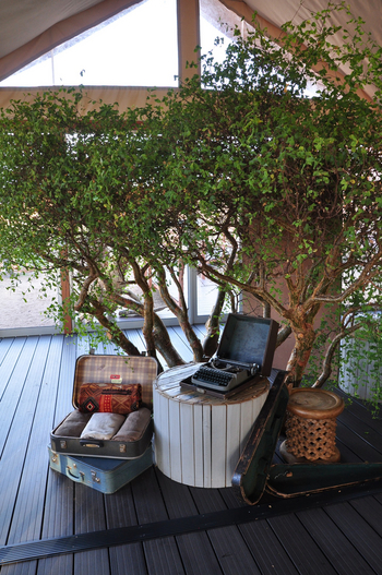 Spitzkoppen Lodge: Deko