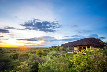 Tau Pan Camp Tau Pan Camp: Chalet zwischen Büschen