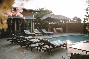 Teufelskrallen Lodge: Liegestühle