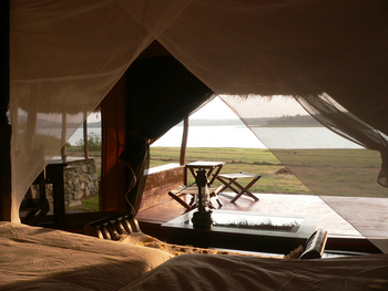 The Bison Resort: Blick zum See