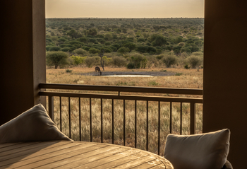 The Dune Camp: Einrichtung