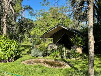 The Woodlands: Vogeltränke vor einem Zelt