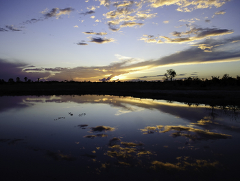 Abu Camp Abu Camp: Stimmung an der Lagune
