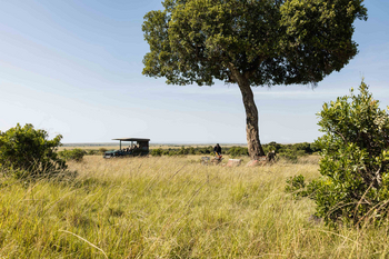 Elewana Little Elephant Pepper Camp: Game Drive