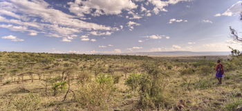 Kicheche Valley Camp Kicheche Valley Camp: Buschige Savanne