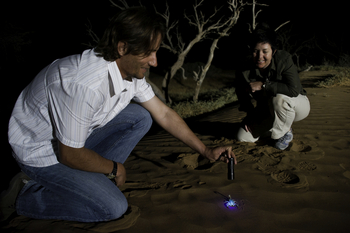 Kulala Desert Lodge: Scorpion