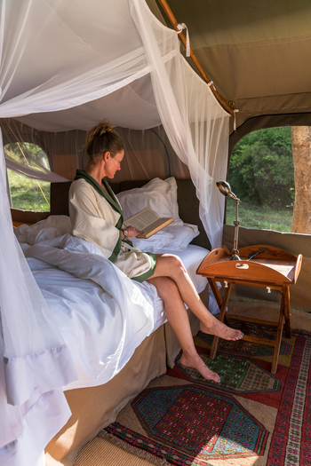 Papa's Camp: Lektüre