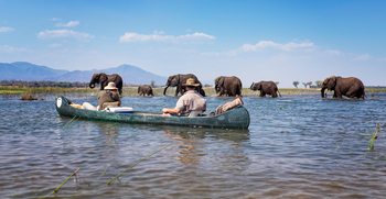 Ruwesi Canoe Trail Ruwesi Canoe Trail: Begegnung mit Elefanten