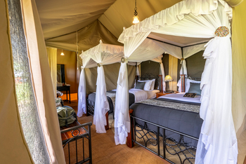 Serengeti Woodlands Camp: Executive Family Suite