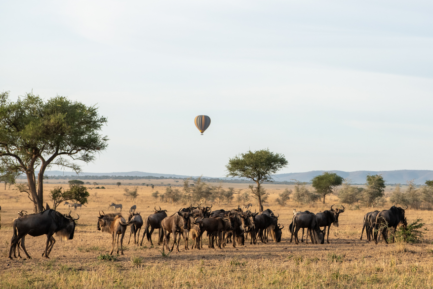 Sinigita Grumeti Game Reserve