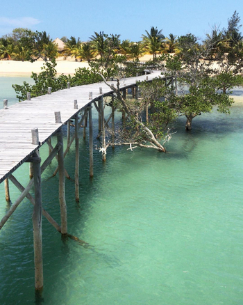 Sussurro: Deck - Steg durch die Mangroven