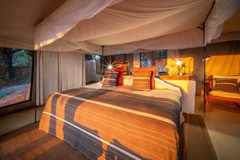 Tena Tena Camp Tena Tena Camp: Gästezelt - Sonne im Zelt