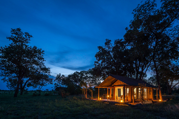 Davison's Camp: Überblick Zelt