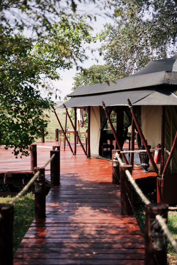 Elewana Sand River Masai Mara Camp Elewana Sand River Masai Mara Camp: Zugang zum Hauptzelt