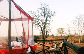 Jamtara Wilderness Camp: Starbed - Auf der Plattform