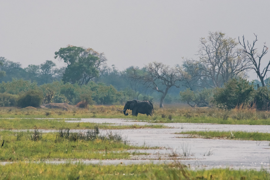 Karangoma Camp