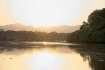 Lale's Camp: Omo River