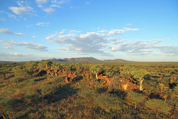 Old Traders Lodge: Landschaft