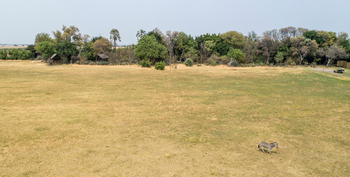 Shinde Lodge Shinde Lodge: Unterkunft am Lagunenrand