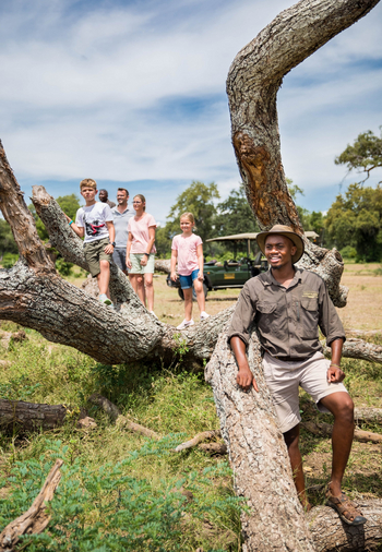 Tembo Plains Camp: Reisegruppe auf Baumstamm