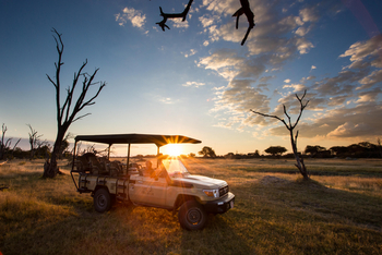 The Hide: Kurz vor Sonnenuntergang