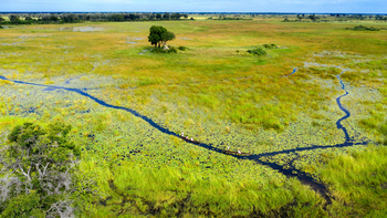 Xigera Safari Lodge Xigera Safari Lodge: Stille Wasserwege