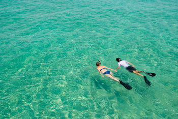 andBeyond Benguerra Island: Schnorcheln