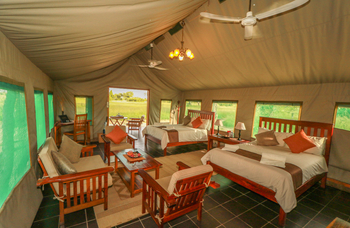 Bomani Tented Lodge Bomani Tented Lodge: Konfiguration mit zwei Doppelbetten