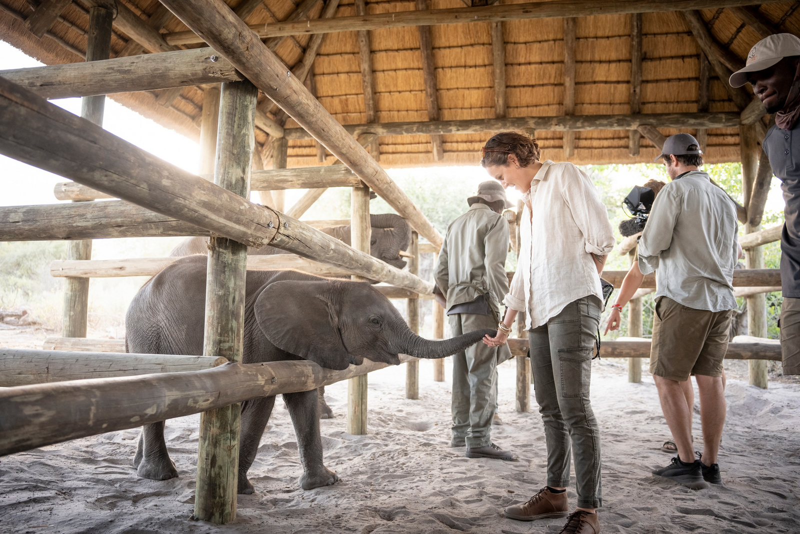 Daunara Safari Camp Daunara Safari Camp: Besuch in Elephant Havens