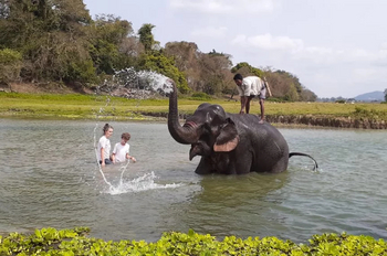 Diphlu River Lodge: Elefantenbad