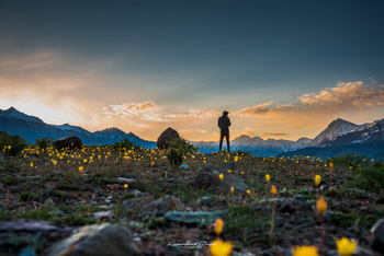Drenmo Lodge Drenmo Lodge: Krokusblüte