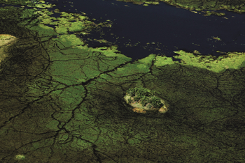 Duba Explorers Camp: Duba Plains Luftaufnahme