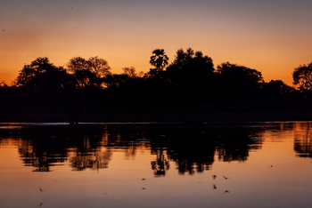 Gomoti Plains Camp: Tiere und Landschaft