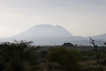 Kambi ya Tembo: Lodge-Dach