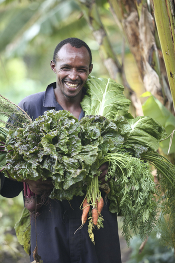 Klein's Camp: Küche