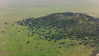 Serengeti Woodlands Camp: Naabi Hill aus der Luft