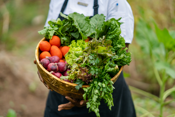 Singita Grumeti Küche: Im Gemüsegarten