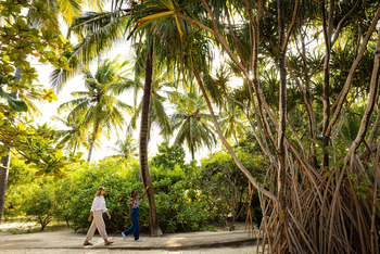 Zanzibar White Sand Luxury Villas: Spaziergang im Garten