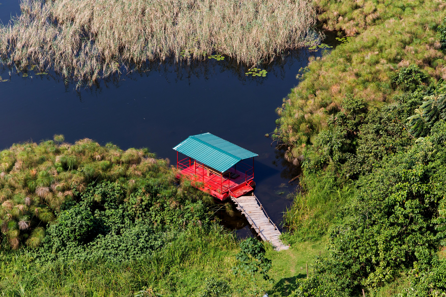 Chameleon Hill Forest Lodge