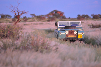 Desert Homestead Lodge Desert Homestead Lodge: Sundowner Drive