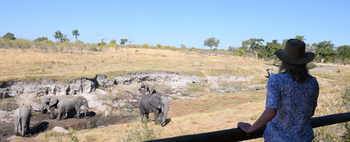 Deteema Springs Camp: Elefanten an den Quellen