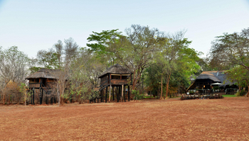 Ivory Safari Lodge Ivory Safari Lodge: Baumhäuser