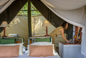 John's Camp John's Camp: Gästezelt - Interieur