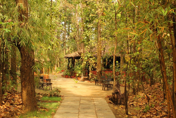 Kanha Jungle Lodge: Weg durch das Gelände