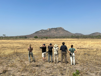 Kichaka Wild Camp: Walking Safari